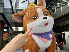 -新光里