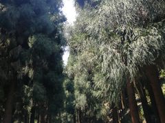 -太阳湾风景区