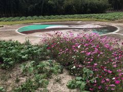 -歌斐颂巧克力小镇