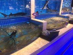 水产区-乔哥铭洋海鲜自助(皇城恒隆广场店)