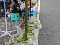 -武陵山森林公园