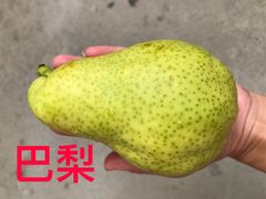 -仁寿山