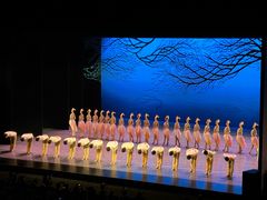 -交通银行前滩31演艺中心