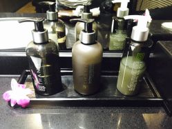 -THANN EXPRESS SPA