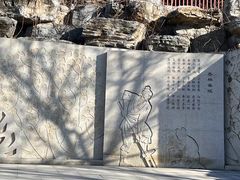 -北京西山国家森林公园