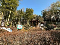 -江南天池高山汤泉城