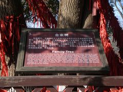 景点-乌镇西栅景区-月老庙