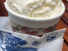 -双宝红油牛系列