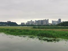 -月湖风景区