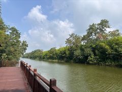 -黄海国家森林公园