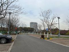 -九里河湿地公园