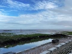 -南汇嘴观海公园