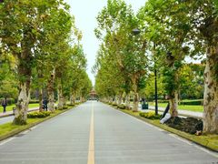 -四川大学(望江校区)