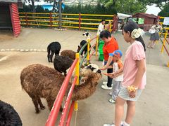 -西霞口神雕山野生动物世界