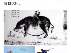 -呀诺达热带雨林