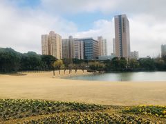 -黄兴公园