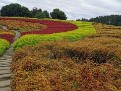 -保利石象湖景区