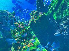 -海合安青岛极地海洋公园