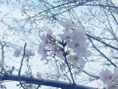 -南翔镇银翔湖公园