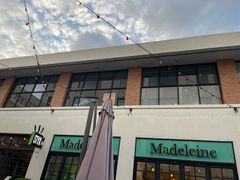 -Madeleine玛德琳(永平里店)