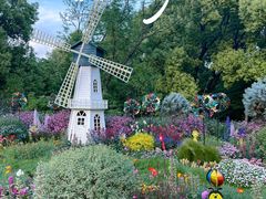 -上海共青森林公园