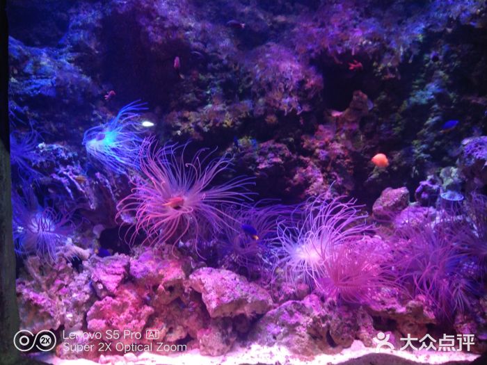 郑州海洋馆图片