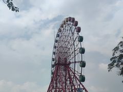 -南湖梦幻岛