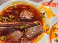 -晓宇重庆火锅(赛格国际购物中心店)