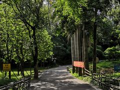 -田心森林公园