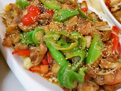 -煲来饱去冷水鱼