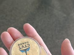 -中央广播电视塔