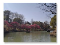 -西溪国家湿地公园