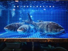 -姜君·千岛湖鱼头馆(浦东大道店)