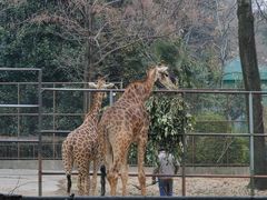 -红山森林动物园