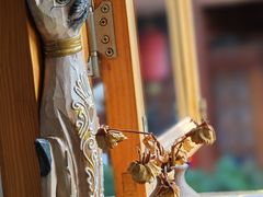 -YLK云南小粒咖啡·云里咖(二号店)