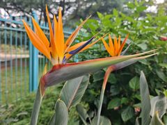 -国家植物园南园