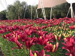 -长春公园(普阳街道)