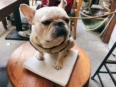 -老味道(田子坊店)