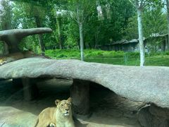 -北京野生动物园