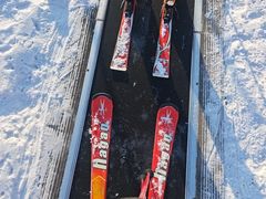 -呼兰河口湿地公园