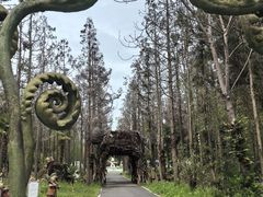 -东平国家森林公园