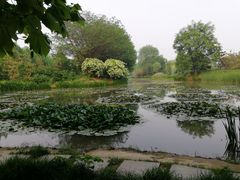 -洛阳市隋唐城遗址植物园