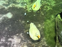 -绿色星球动物主题公园