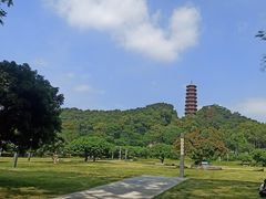 -红花山公园