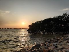 -宝安西湾红树林湿地公园