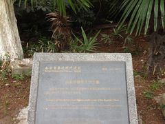 -菊花台公园