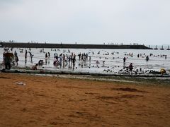 -青岛第二海水浴场