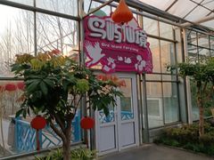 -南宫五洲植物乐园