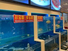 水产区-峨嵋酒家总店(车公庄店)