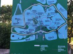 -荷塘月色湿地公园·向阳花洲